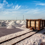 Secrets Behind the Successful Export of Iranian Edible Salt to the Persian Gulf Countries